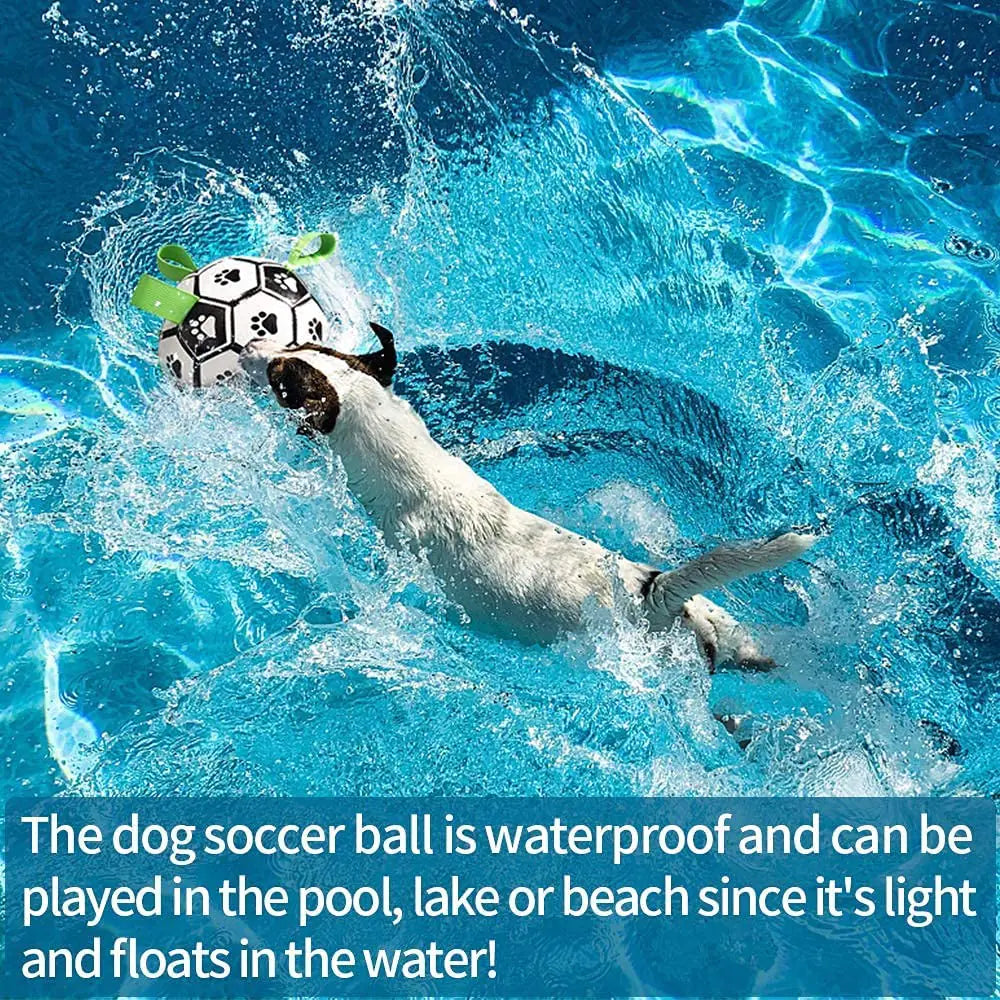 Interactive Dog Football